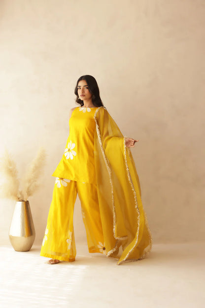 HEER RED HANDPAINTED SHARARA SET