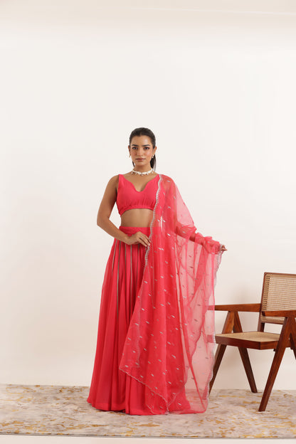 AYANA FIERY ROSE DETAILED LEHENGA SET