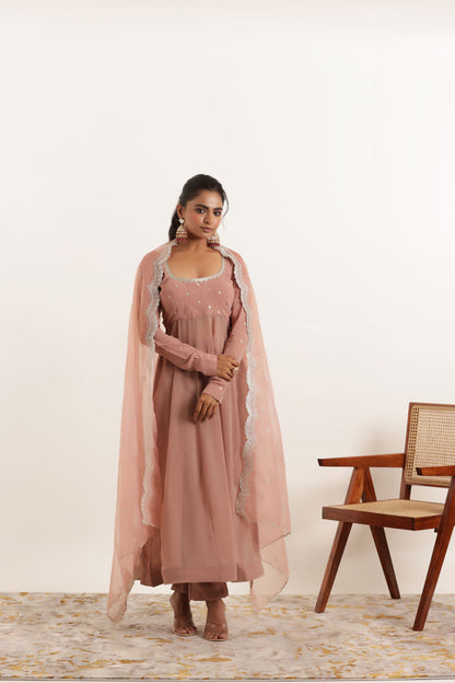 AARINI MAUVE CHIKU REGAL ANARKALI SET