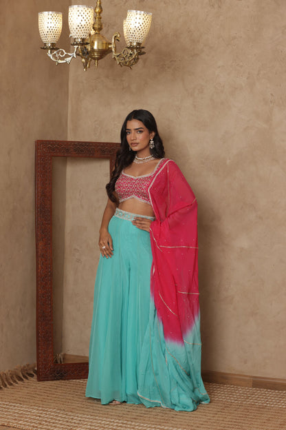 NAGMA EMBROIDERED PINK SHARARA SET