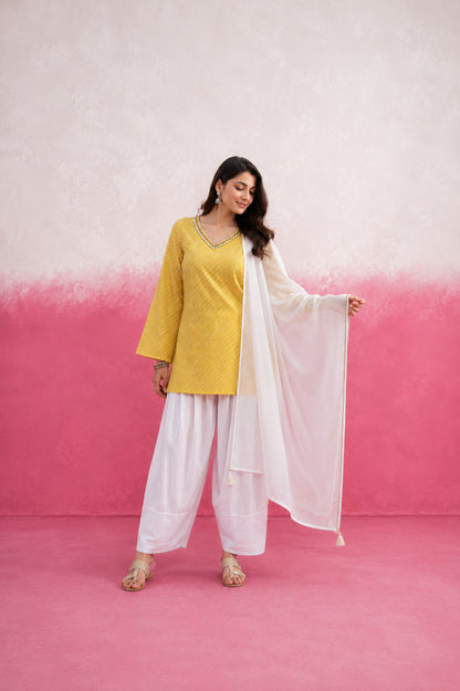 ALARI YELLOW LEHERIYA FARSHI SET