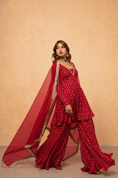 CHANDNI RED SHARARA SET