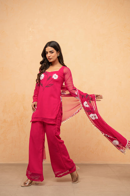 NAAZ RED HANDPAINTED SHARARA SET