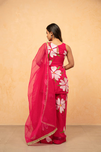 RASHI PINK HANDPAINTED SHARARA SET