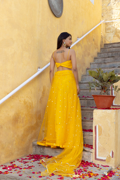 SAHANA YELLOW EMBROIDERED NET LEHENGA SET